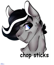 Size: 800x960 | Tagged: safe, oc, oc only, oc:chopsticks, pegasus, pony, bust, cheek fluff, hunk, simple background, solo, text, white background