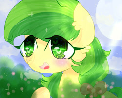 Size: 999x800 | Tagged: safe, artist:magicangelstarartist, apple fritter, earth pony, pony, g4, apple family member, blurry background, blushing, ribbon, smiling, solo, starry eyes, wingding eyes
