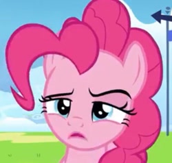 Size: 577x549 | Tagged: safe, screencap, pinkie pie, earth pony, pony, g4, season 7, secrets and pies, blue eyes, cropped, female, frown, mare, pink coat, pink fur, pink hair, pink mane, pink pony, pinkie pie is not amused, solo, unamused, when she doesn't smile