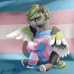 Size: 1257x1259 | Tagged: safe, artist:thatonegib, oc, oc only, pegasus, pony, clothes, commission, hoodie, looking at you, pegasus oc, pride, pride flag, shy, sitting, smiling, solo, transgender pride flag, unshorn fetlocks, wings, ych result