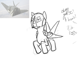 Size: 800x600 | Tagged: artist needed, safe, original species, plane pony, bomb, dialogue, eyes closed, f-117 nighthawk, flying, helmet, implied death, irl, jet, jet fighter, jet plane, photo, plane, raised hooves, simple background, smiling, solo, weapon, white background