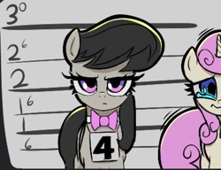 Size: 1331x1024 | Tagged: safe, artist:ponconcarnal, octavia melody, twinkleshine, earth pony, pony, unicorn, g4, bow, crying, line-up, looking at you, mugshot