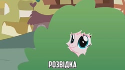 Size: 807x454 | Tagged: safe, artist:mixermike622, edit, oc, oc only, oc:fluffle puff, earth pony, pony, g4, bush, caption, cyrillic, hiding in bushes, image macro, khuppkheighckes, meme, solo, text, ukrainian