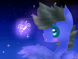 Size: 1024x768 | Tagged: safe, artist:magicangelstarartist, oc, oc only, firefly (insect), insect, pegasus, pony, male, solo, spread wings, stallion, starry background, wings