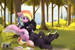 Size: 2304x1558 | Tagged: safe, artist:little-sketches, oc, oc only, oc:aurora codec, oc:masashi, pegasus, pony, camera, choker, colored wings, colored wingtips, commission, cuddling, duo, female, forest, gradient hooves, heart, looking at each other, looking at someone, lying down, male, mare, multicolored hair, oc x oc, pegasus oc, photo, polaroid, rainbow hair, shipping, spiked choker, stallion, story included, straight, wings