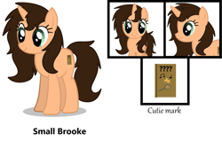 Size: 3322x2112 | Tagged: safe, artist:small-brooke1998, oc, oc:small brooke, pony, unicorn, base used, high res, reference sheet