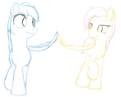 Size: 540x435 | Tagged: safe, artist:stillwaterspony, fluttershy, rainbow dash, pony, g4, female, lesbian, looking at each other, looking at someone, ship:flutterdash, shipping, sketch, smiling, standing, touching wings