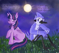 Size: 2800x2500 | Tagged: safe, artist:raventhelemon, twilight sparkle, alicorn, bird, blue jay, pony, g4, aeroplanes and meteor showers, airplanes (song), crossover, crossover shipping, duo, female, grass, high res, male, moon, mordecai, mordetwi, night, regular show, shipping, straight