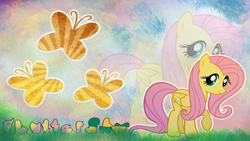 Size: 2560x1440 | Tagged: safe, artist:skrayp, fluttershy, pegasus, pony, g4, abstract background, cloud, cutie mark, female, grass, looking at you, mare, name, raised hoof, sky, smiling, smiling at you, solo, wallpaper
