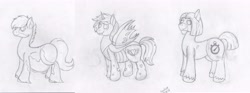 Size: 6450x2400 | Tagged: safe, artist:xyclone, oc, oc only, changeling, earth pony, pony, belly, chubby, grayscale, monochrome, signature, sketch, stomach noise, unshorn fetlocks