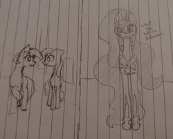 Size: 2375x1906 | Tagged: safe, artist:those kids in the corner, lily, lily valley, nightmare moon, roseluck, alicorn, earth pony, pony, g4, confused, female, nightmare night, scared, siblings, sisters, traditional art