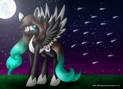 Size: 1480x1072 | Tagged: safe, artist:firedragonmoon15, oc, pegasus, pony, black coat, black wings, brown mane, brown tail, colored wings, cyan eyes, cyan mane, cyan tail, full moon, looking at you, meteor shower, moon, night, night sky, sky, smiling, solo, spread wings, standing, tail, two toned coat, two toned mane, two toned tail, two toned wings, white coat, white wings, wings