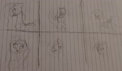 Size: 2929x1705 | Tagged: safe, artist:those kids in the corner, fluttershy, g4, annoyed, expressions, facial expressions, flirting, flower, happy, one eye closed, practice drawing, rose, sad, style practice, traditional art, wings, wink