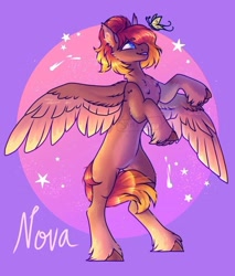 Size: 750x881 | Tagged: safe, artist:shorkerzzz, oc, oc only, oc:nova, butterfly, pegasus, pony, chest fluff, colored wings, colored wingtips, eyebrows, eyebrows visible through hair, rearing, solo, spread wings, two toned wings, unshorn fetlocks, wings