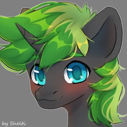 Size: 1000x1000 | Tagged: safe, artist:shelti, oc, oc only, pony, unicorn, bust, colored pupils, commission, horn, male, simple background, smiling, solo, stallion