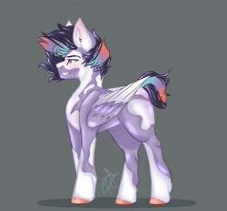 Size: 1024x954 | Tagged: safe, artist:novadraws19205, oc, oc only, pegasus, pony, smiling, solo