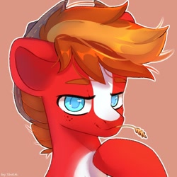 Size: 1000x1000 | Tagged: safe, artist:shelti, oc, oc only, earth pony, pony, bust, colored pupils, commission, hat, looking at you, male, simple background, solo, stallion