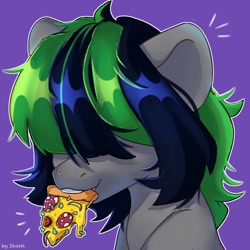 Size: 1000x1000 | Tagged: safe, artist:shelti, oc, oc only, earth pony, pony, bust, commission, food, hair over one eye, pizza, purple background, simple background, solo