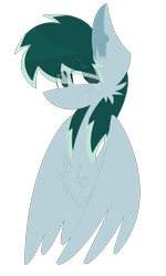 Size: 1200x2000 | Tagged: safe, artist:scridley-arts, oc, oc only, pegasus, pony, pegasus oc, simple background, solo, transparent background