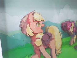 Size: 1280x960 | Tagged: safe, artist:__sana_art___, artist:made_by_franch, apple bloom, applejack, earth pony, pony, g4, campingє, craft, diorama, duo, forest, handmade, mountain, nature