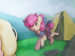 Size: 1280x960 | Tagged: safe, artist:made_by_franch, apple bloom, applejack, earth pony, pony, g4, campingє, craft, diorama, duo, forest, handmade, mountain, nature