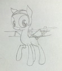 Size: 876x996 | Tagged: artist needed, safe, oc, oc only, original species, plane pony, aac seastar, biplane, happy, looking at you, plane, seaplane, smiling, solo, standing, traditional art