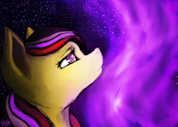 Size: 2100x1500 | Tagged: safe, artist:minckies, oc, oc only, earth pony, pony, bust, earth pony oc, female, mare, solo, stars