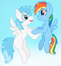 Size: 600x640 | Tagged: safe, artist:mlpcartel, rainbow dash, oc, oc:riley, pegasus, pony, g4, brother and sister, female, filly, filly rainbow dash, flying, foal, male, siblings, younger