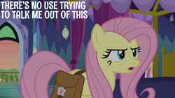 Size: 1920x1080 | Tagged: safe, edit, edited screencap, editor:quoterific, screencap, fluttershy, pegasus, pony, a health of information, g4, bag, saddle bag, solo, twilight's castle