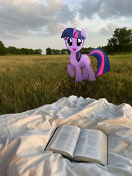 Size: 1472x1962 | Tagged: safe, artist:zetter-berg, edit, twilight sparkle, pony, unicorn, g4, bible, book, female, grass, horn, irl, mare, open mouth, outdoors, photo, photoshop, ponies in real life, ponytail, real life background, solo, tail, unicorn twilight