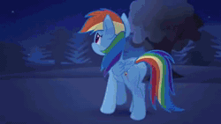 Size: 640x360 | Tagged: safe, artist:thesamstudio, rainbow dash, pegasus, pony, g4, 2017, animated, aurora borealis, beautiful, breaking, broken, broken glass, chandelier (song), confident, crouching, depressed, depressing, depression, determined, determined face, determined look, disappear, dream, dust, emotional, emotional spectrum, eyes closed, feather, female, flapping wings, floppy ears, flying, folded wings, forest, freedom, galloping, happy, highlights, jumping, looking at you, looking back, looking forward, looking up, lying down, magenta eyes, mare, messy hair, messy mane, messy tail, mood whiplash, mountain, multicolored hair, multicolored mane, multicolored tail, music video, night, night sky, nose wrinkle, overhead view, panorama, pmv, prancing, pronking, rainbow hair, rainbow tail, rainbow trail, rock, rolling, running, sad, sadness, scratches, scrunchy face, serious, serious face, shading, shooting star, sia (singer), singing, sitting, sky, smiling, smiling at you, smoke, song, sonic rainboom, sound, space, sparkles, tail, tree, trotting, video, waking up, webm, windswept mane, windswept tail, wings