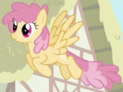 Size: 299x224 | Tagged: safe, screencap, dizzy twister, orange swirl, pegasus, pony, g4, season 1, season 2, background character, background pony, cropped, female, flying, intro, mare, solo, spread wings, wings