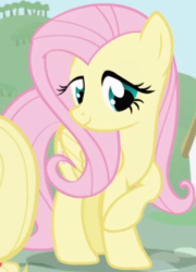 Size: 304x422 | Tagged: safe, screencap, fluttershy, pegasus, pony, g4, season 1, season 2, cropped, female, folded wings, intro, mare, solo focus, wings