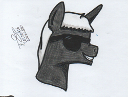 Size: 815x620 | Tagged: safe, artist:alejandrogmj, oc, oc only, oc:blacksun, pony, unicorn, horn, simple background, sunglasses, traditional art, unicorn oc, white background