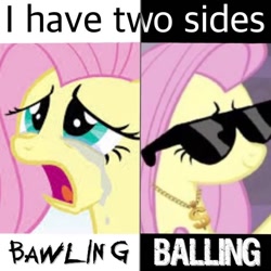 Size: 750x750 | Tagged: safe, edit, edited screencap, screencap, fluttershy, pegasus, pony, g4, hurricane fluttershy, interseason shorts, season 2, teacher of the month (episode), cool, cropped, crying, darkside, deal with it, dollar sign, female, frown, jewelry, looking up, lowres, mare, meme, necklace, needs more jpeg, open frown, open mouth, pink hair, pink mane, sad, shitposting, shrug, smiling, solo, sunglasses, teal eyes, two sides, yellow coat, yellow fur, yellow pony