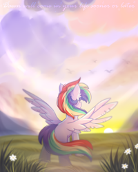 Size: 2000x2500 | Tagged: safe, artist:stesha, oc, oc only, oc:manti'core, pegasus, pony, cloud, ear fluff, field, full body, high res, looking away, male, multicolored mane, multicolored tail, pegasus oc, rising sun, sky, sky background, solo, spread wings, stallion, tail, wings