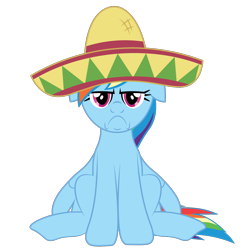 Size: 1200x1200 | Tagged: safe, artist:prixy05, rainbow dash, pegasus, pony, g4, frown, grumpy, rainbow dash is not amused, simple background, sitting, solo, sombrero, transparent background, unamused, vector