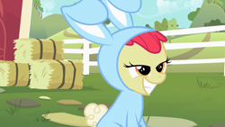 Size: 1280x720 | Tagged: safe, screencap, apple bloom, earth pony, pony, family appreciation day, g4, animal costume, bunny bloom, bunny costume, clothes, costume, female, fence, filly, foal, hay bale, lidded eyes, out of context, smiling, solo