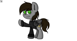 Size: 3960x2160 | Tagged: safe, artist:nhale, oc, oc:razor uniboop, clothes, green eyes, high res, male, raised hoof, simple background, smiling, stallion, transparent background, wings