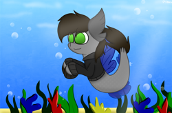 Size: 3960x2604 | Tagged: safe, artist:nhale, oc, oc:razor uniboop, hippogriff, hybrid, merpony, seapony (g4), bubble, clothes, coral, dorsal fin, fin, fin wings, fins, fish tail, green eyes, happy, high res, ocean, seaweed, solo, swimming, tail, underwater, water, wings