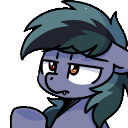 Size: 500x500 | Tagged: safe, artist:sugar morning, oc, oc only, oc:scrimmy, bat pony, pony, animated, bat ears, bat pony oc, commission, facehoof, facepalm, fangs, gif, heterochromia, male, simple background, solo, sugar morning's facehoofs, transparent background, ych result