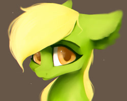 Size: 1350x1080 | Tagged: safe, artist:minckies, oc, oc only, earth pony, pony, brown background, bust, ear fluff, earth pony oc, simple background, solo