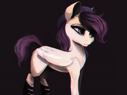 Size: 2828x2121 | Tagged: safe, artist:minckies, oc, oc only, pegasus, pony, black background, hat, high res, pegasus oc, simple background, solo, wings