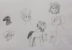 Size: 2048x1413 | Tagged: safe, artist:pony quarantine, oc, oc only, bird, crow, earth pony, pony, yakutian horse, female, fluffy, grayscale, looking at each other, looking at someone, looking at you, male, mare, monochrome, pencil drawing, smiling, smiling at each other, smiling at you, stallion, traditional art