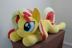Size: 5058x3372 | Tagged: safe, artist:azgchip, sunset shimmer, pony, unicorn, cute, female, life size, lying down, mare, photo, plushie, prone, solo, sploot