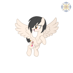 Size: 2500x2500 | Tagged: safe, artist:r4hucksake, oc, oc only, oc:dreamcatcher, pegasus, pony, base used, female, high res, mare, simple background, solo, transparent background