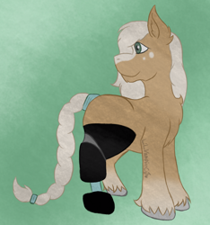 Size: 2056x2198 | Tagged: safe, artist:lil_vampirecj, oc, oc only, earth pony, pony, abstract background, amputee, braid, braided tail, digital art, dtpay, high res, krita, prosthetic leg, prosthetic limb, prosthetics, solo, tail
