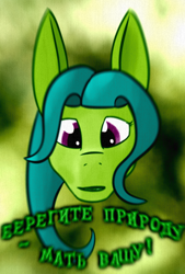 Size: 448x664 | Tagged: safe, artist:kujivunia, edit, oc, oc only, dryad, earth pony, pony, abstract background, big ears, bust, cyrillic, earth pony oc, green background, head only, looking at you, portrait, poster, russian, solo