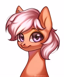 Size: 2500x3000 | Tagged: safe, artist:02vxmp, artist:minchyseok, oc, oc only, pony, bust, commission, high res, male, portrait, simple background, solo, white background