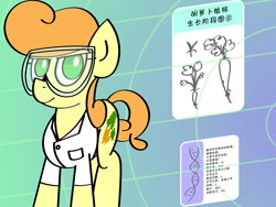 Size: 1280x960 | Tagged: safe, artist:greenhoof, carrot top, golden harvest, earth pony, pony, g4, abstract background, carrot, chinese, clothes, dna, female, food, goggles, gradient background, lab coat, mare, scientist, solo, 🥕